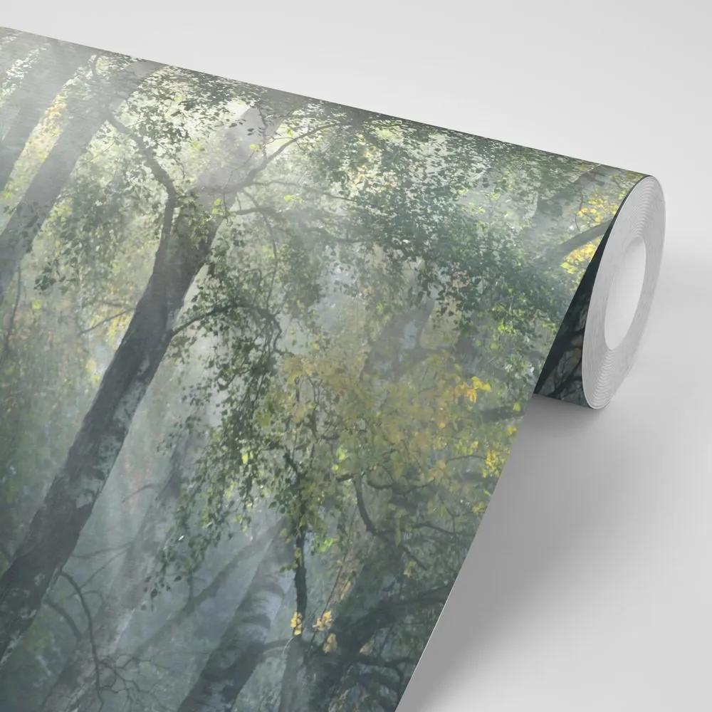Samolepiaca fototapeta slnečné lúče v hmlistom lese - 150x100