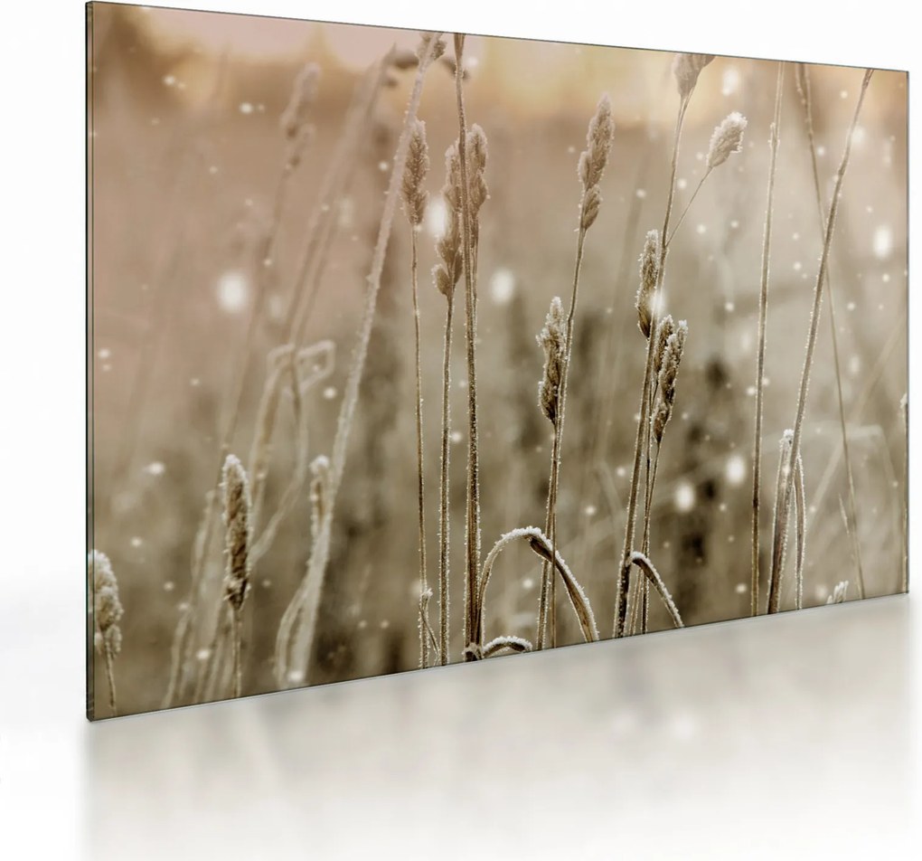 Sklenený obraz - Harmonická lúka (70x50 cm)
