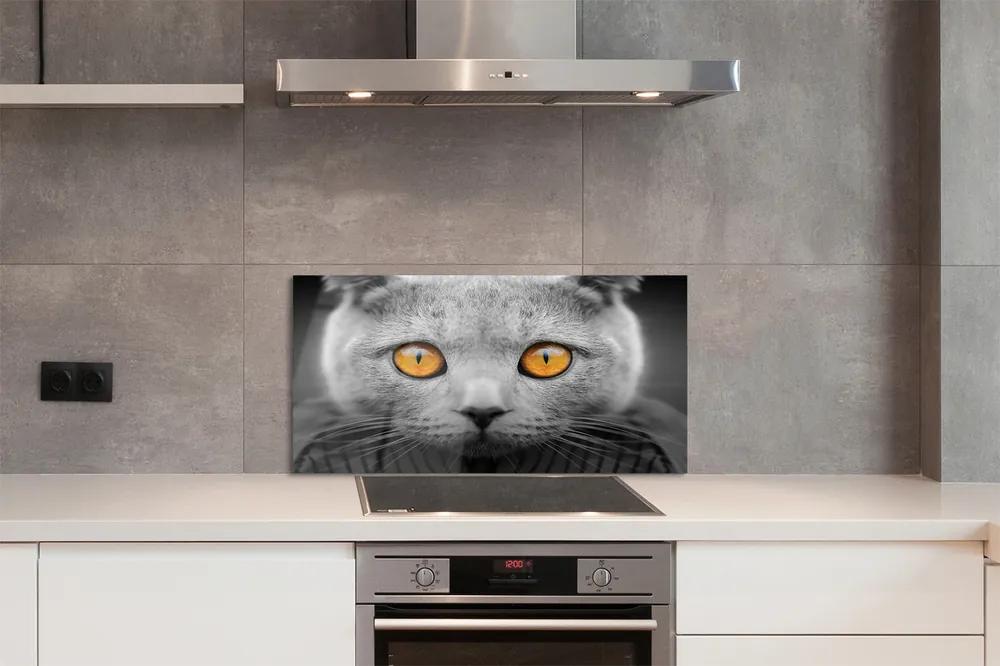 Nástenný panel  Sivá Britská mačka 125x50 cm