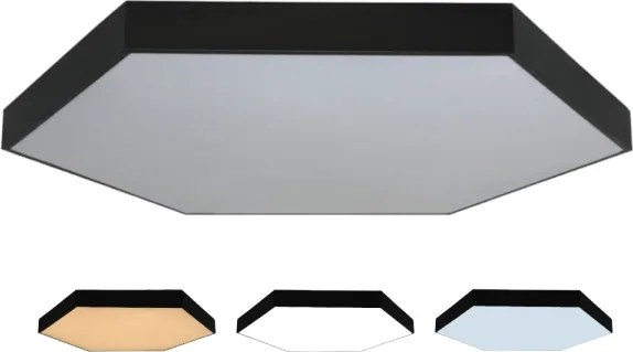 LED Stropné svietidlo LED/240W/230V 3000/4000/6500K pr. 120 cm čierna