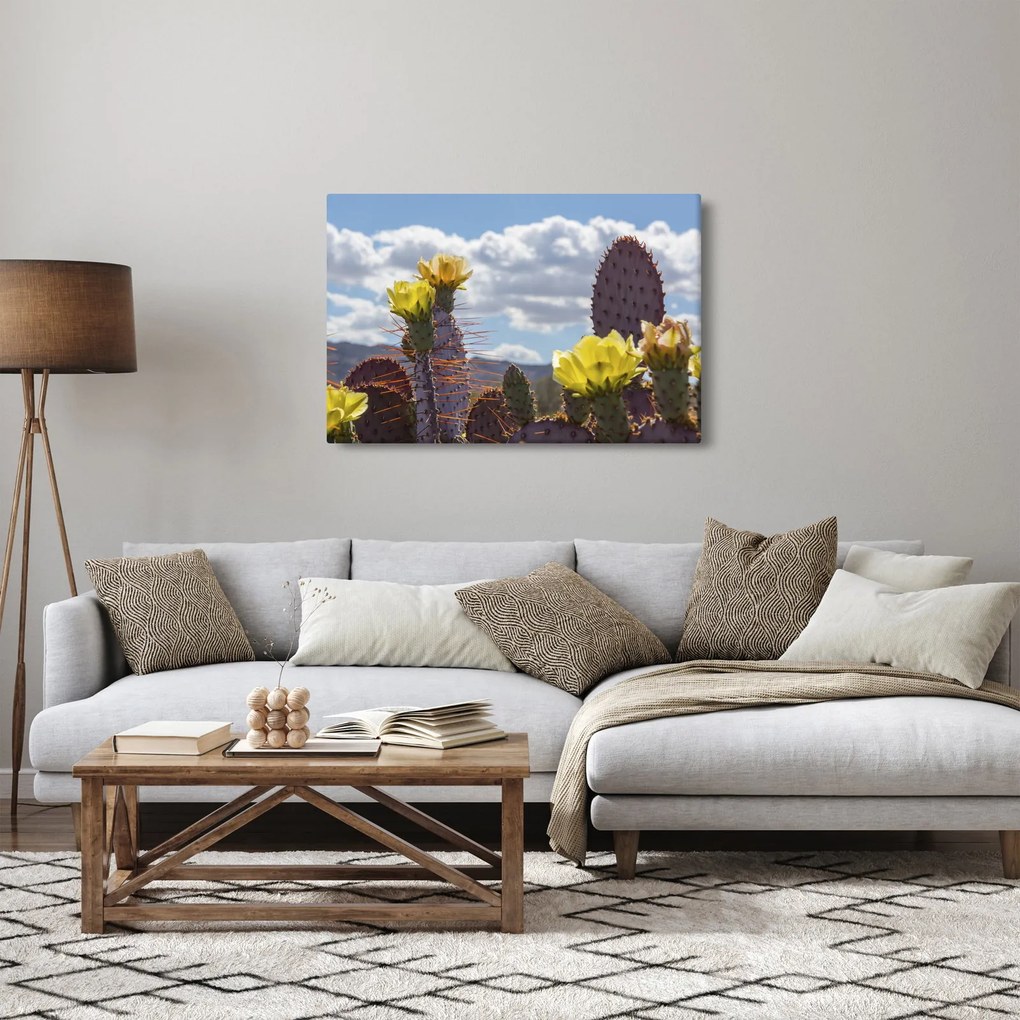 Obraz opuncie (90x60 cm)