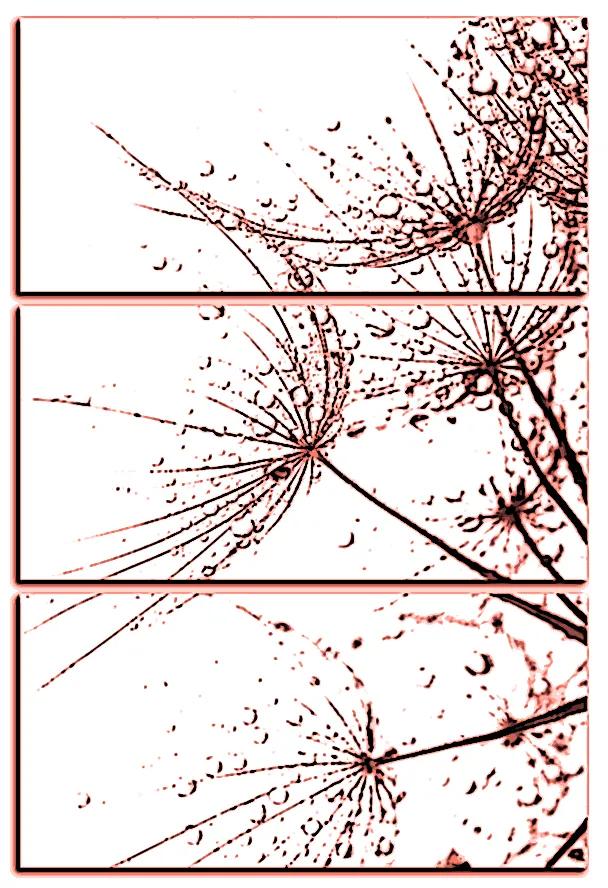 Obraz na plátne - Pampeliškové semienka s kvapkami vody - obdĺžnik 7202KB (90x60 cm  )