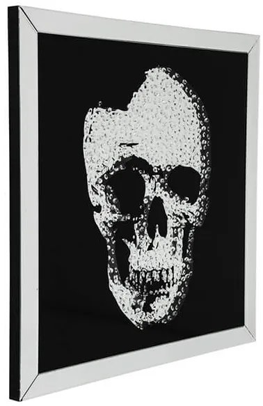 Mirror Skull obraz čierny