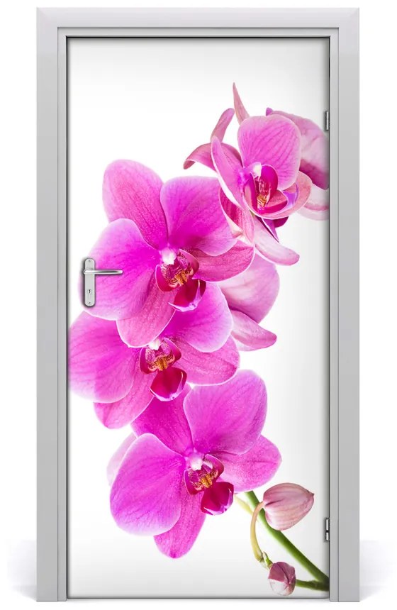 Fototapeta samolepiace ružová orchidea 85x205 cm