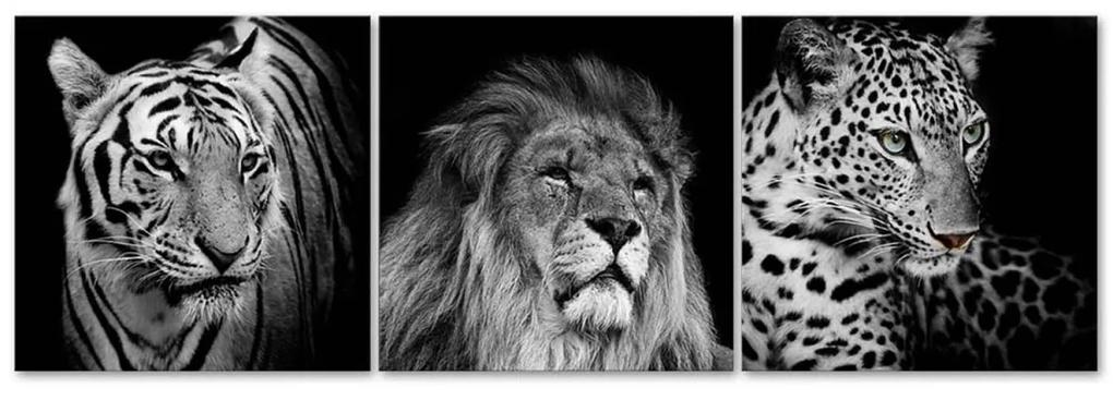 Obraz na plátně třídílný Zvířata Afrika - 150x50 cm