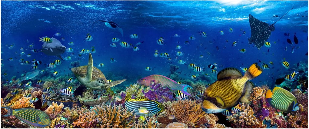 Obraz - Oceán (120x50 cm)