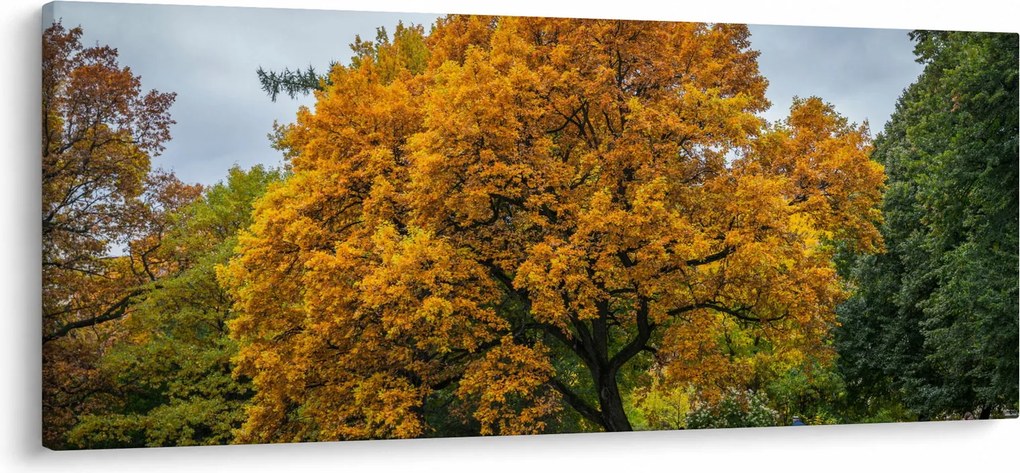 Obraz stromu (120x50 cm)