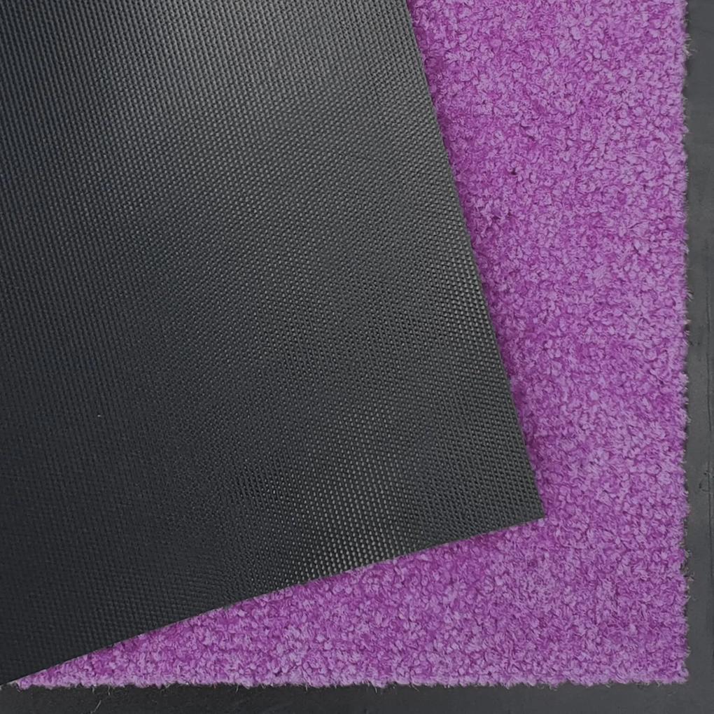 Hanse Home Collection koberce Rohožka Wash & Clean 103838 Violett – na von aj na doma - 60x180 cm