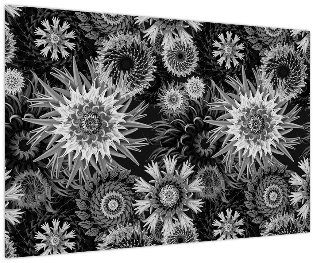 Obraz - Čiernobiele bodliaky (90x60 cm)