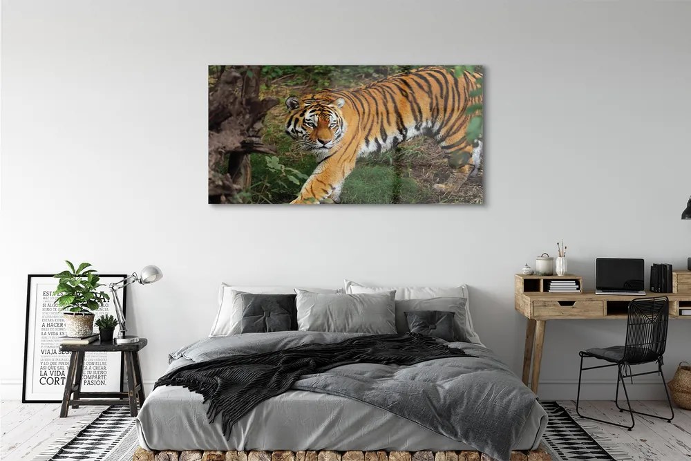 Obraz na akrylátovom skle Tiger woods 140x70 cm