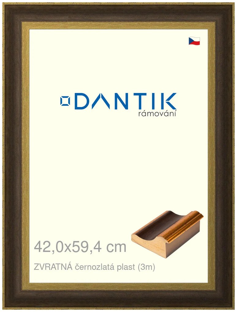 DANTIK rám na obraz 42x59,4 | ZVRATNÁ černozlatá plast (Plexi Čiré)