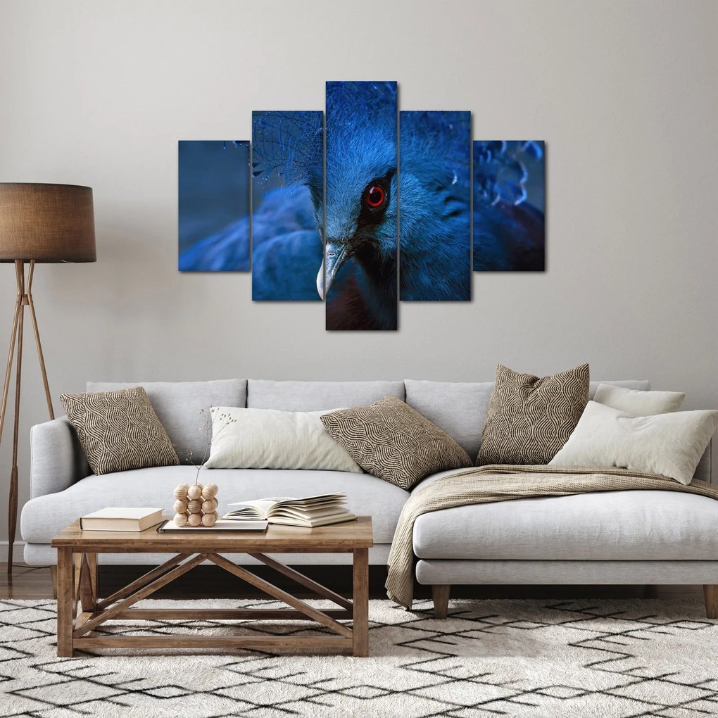 Obraz - Holub korunovaný (150x105 cm)