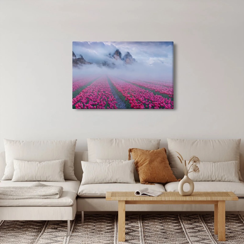 Obraz - Krajina s tulipánovými poľami (90x60 cm)