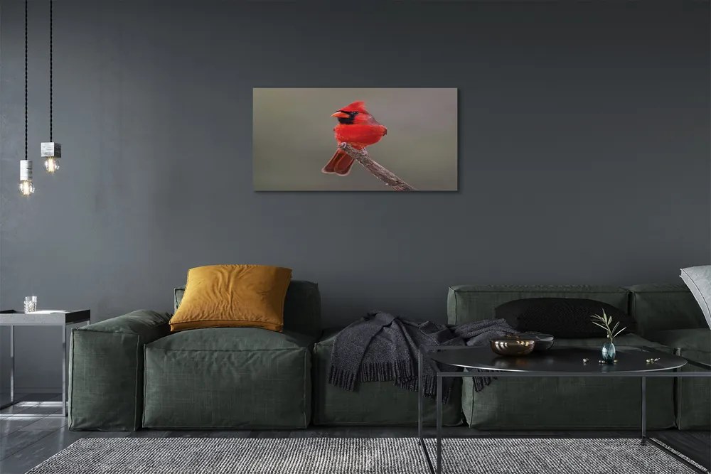 Obraz na plátne Red papagáj na vetve 120x60 cm