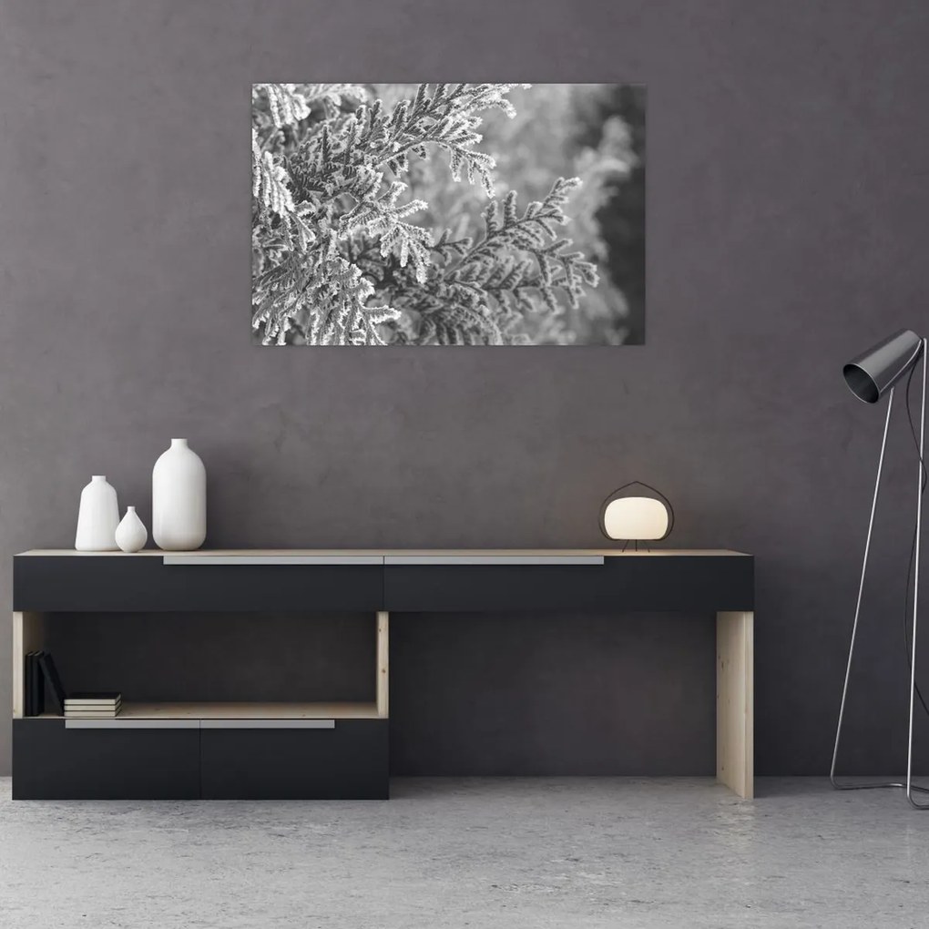 Obraz - Smrekový les (90x60 cm)