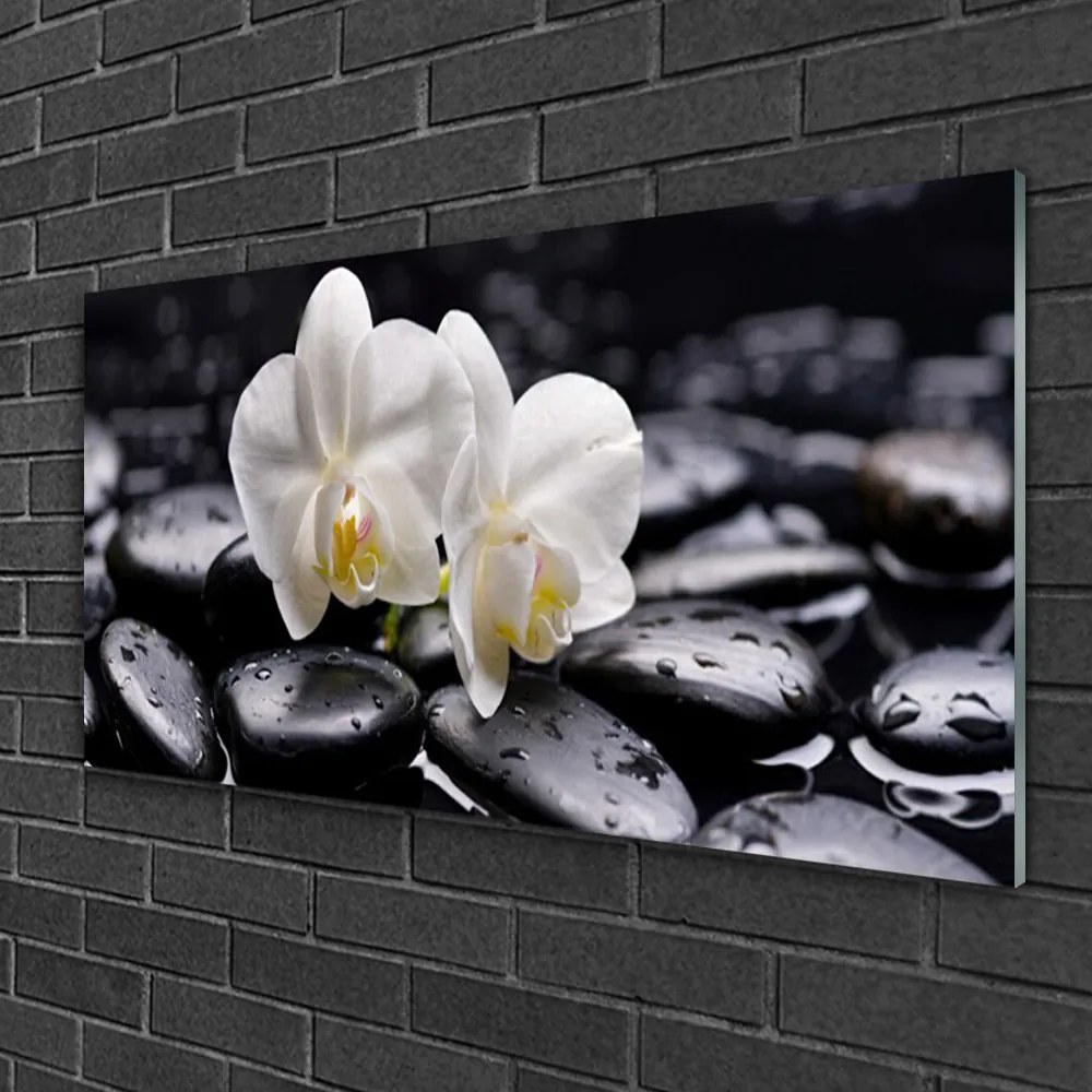 Skleneny obraz Kamene zen biela orchidea 100x50 cm 2 Prívesky