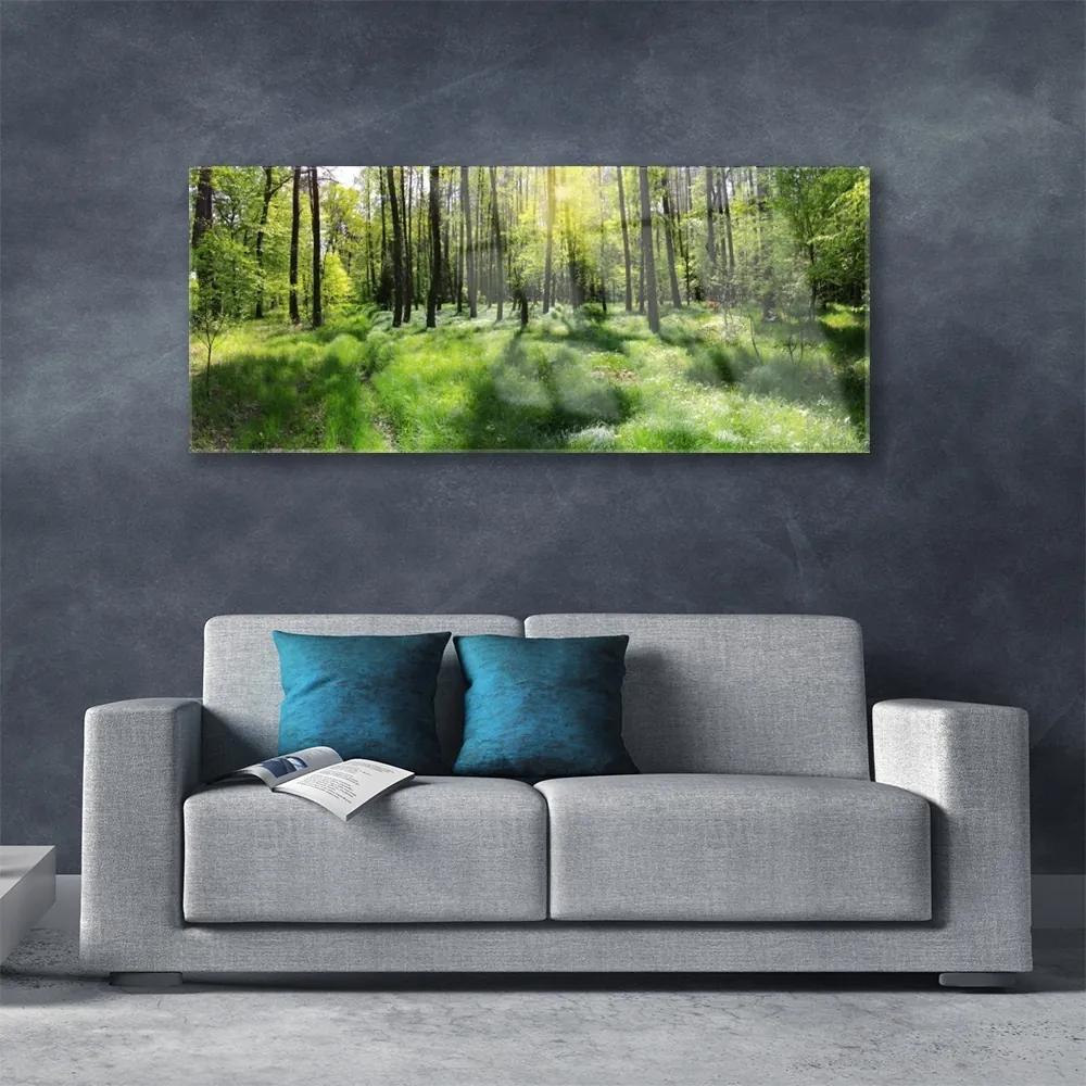 Obraz plexi Les tráva rastlina príroda 125x50 cm