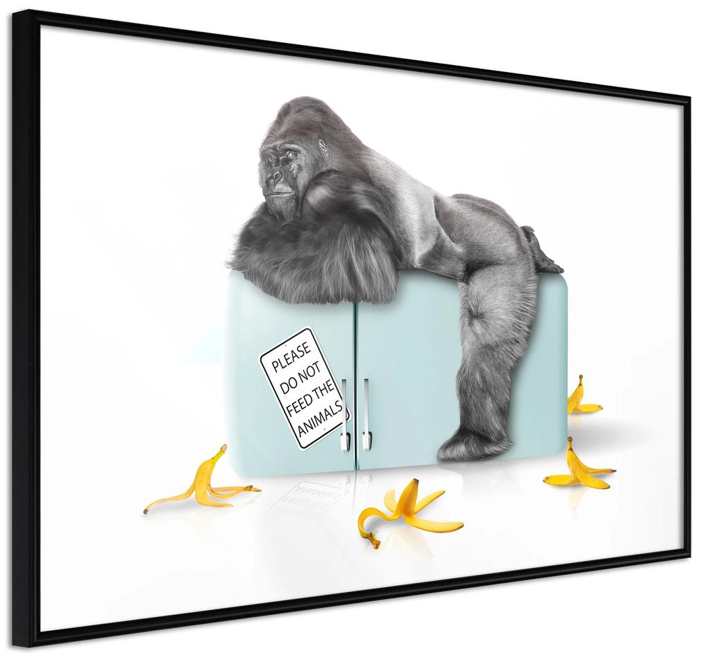 Artgeist Plagát - Hungry Gorilla [Poster] Veľkosť: 30x20, Verzia: Zlatý rám