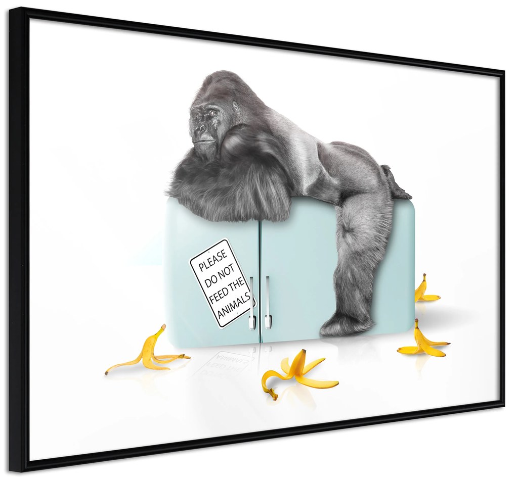 Artgeist Plagát - Hungry Gorilla [Poster] Veľkosť: 45x30, Verzia: Zlatý rám