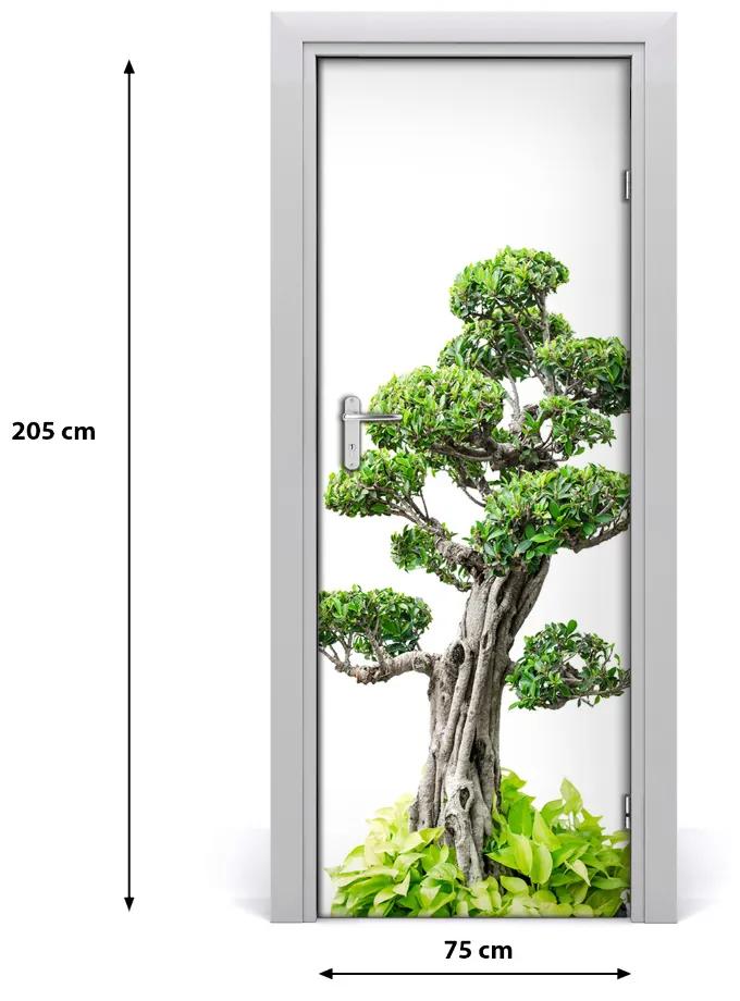 Fototapeta samolepiace bonsai 75x205 cm