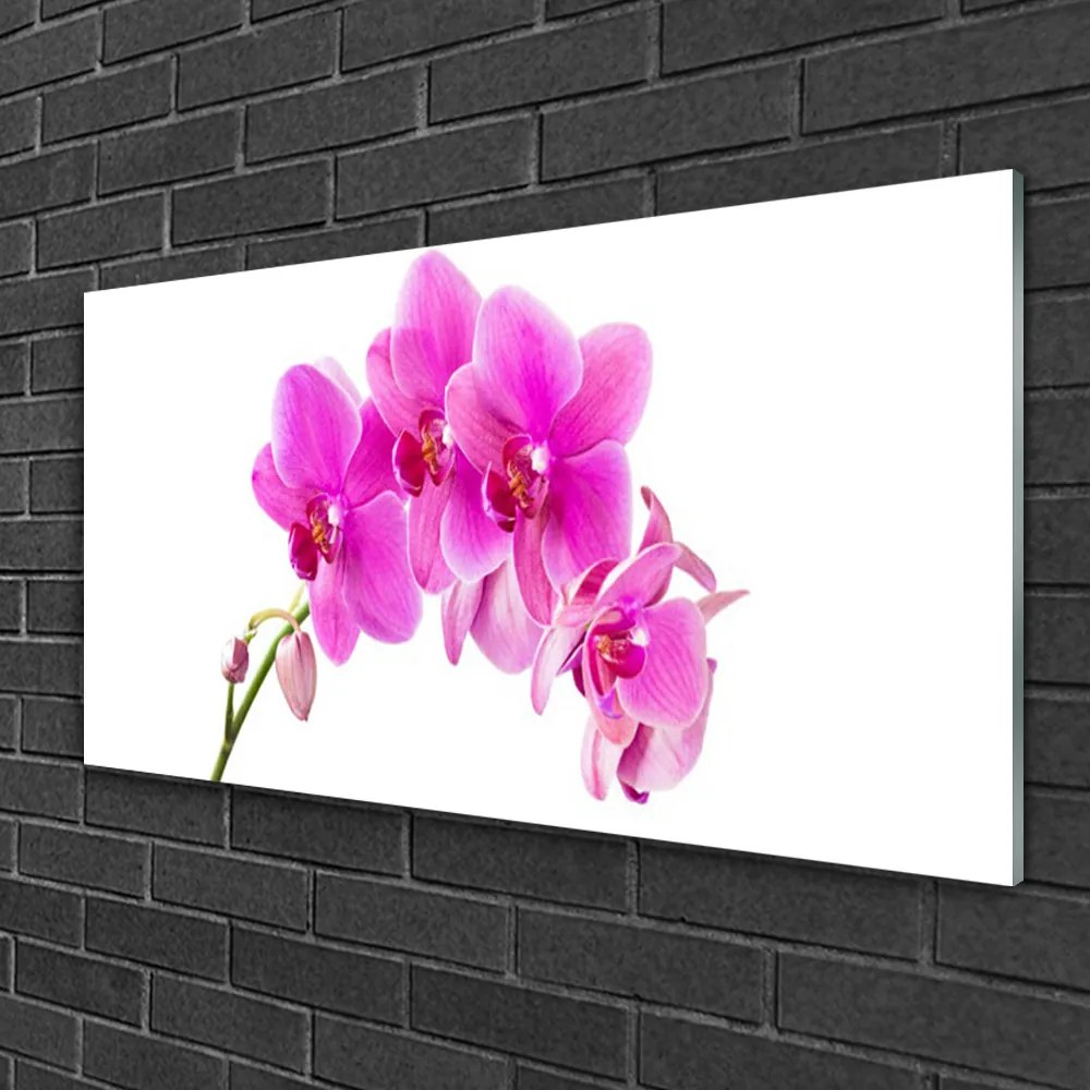 Skleneny obraz Vstavač kvet orchidea 140x70 cm