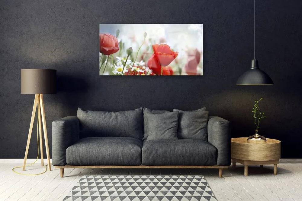 Skleneny obraz Kvety plátky rastlina 125x50 cm