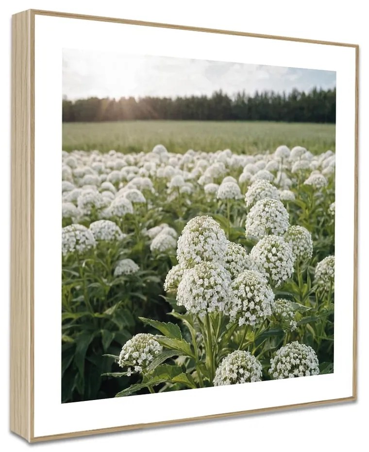 Obrazy v súprave 4 ks 30x30 cm Sunrise Hike