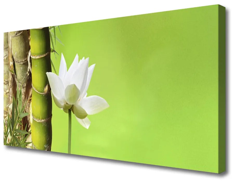 Obraz Canvas Bambus stonka rastlina príroda 140x70cm