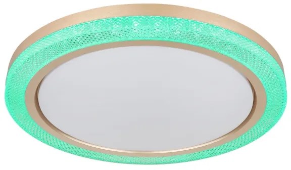 Globo 41372-24 - LED RGBW Stmievateľné stropné svietidlo BOLLY LED/20W/230V + DO