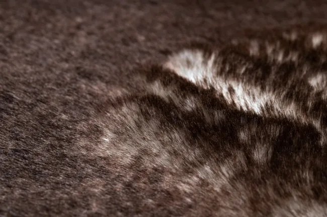 Koberec LAPIN Shaggy slonia kosť/hnedý protišmykový