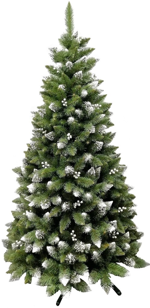 Vianočný stromček- Borovica Iza 240cm