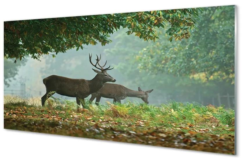 Sklenený obraz Jeleňa na jeseň les 125x50 cm