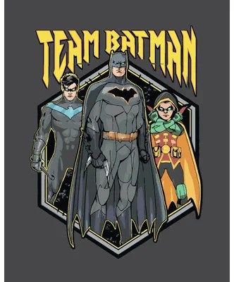 Maľovanie podľa čísel na ráme TÍM BATMAN 40x50 cm