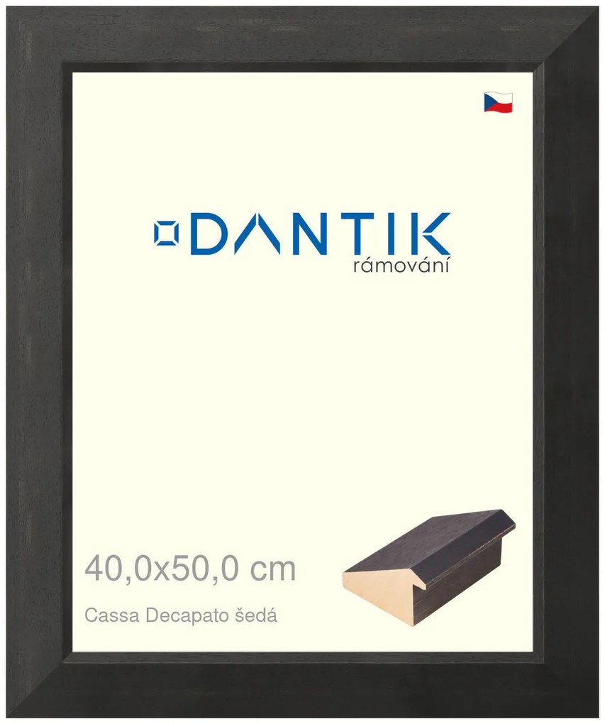 DANTIK rám na obraz 40x50 | Caa Decapato černá (Plexi Čiré)