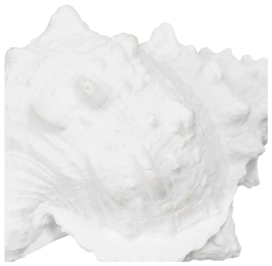 Soška z polyresínu (výška 12 cm) Seashell – Ixia