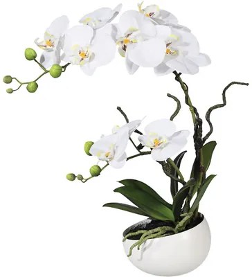 Umelá orchidea phalaenopsis 42 cm biela v keramickej miske Real Touch