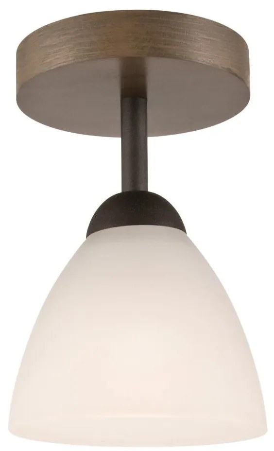 Lamkur Prisadený luster ADRIANO 1xE27/60W/230V LA28286