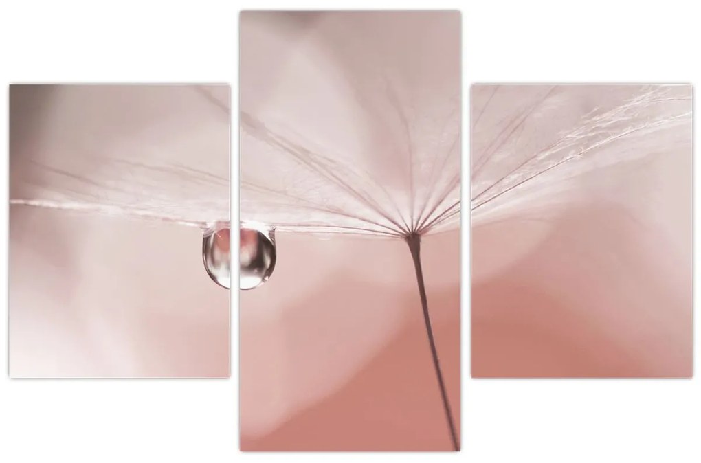 Obraz - Kvapka rosy (90x60 cm)
