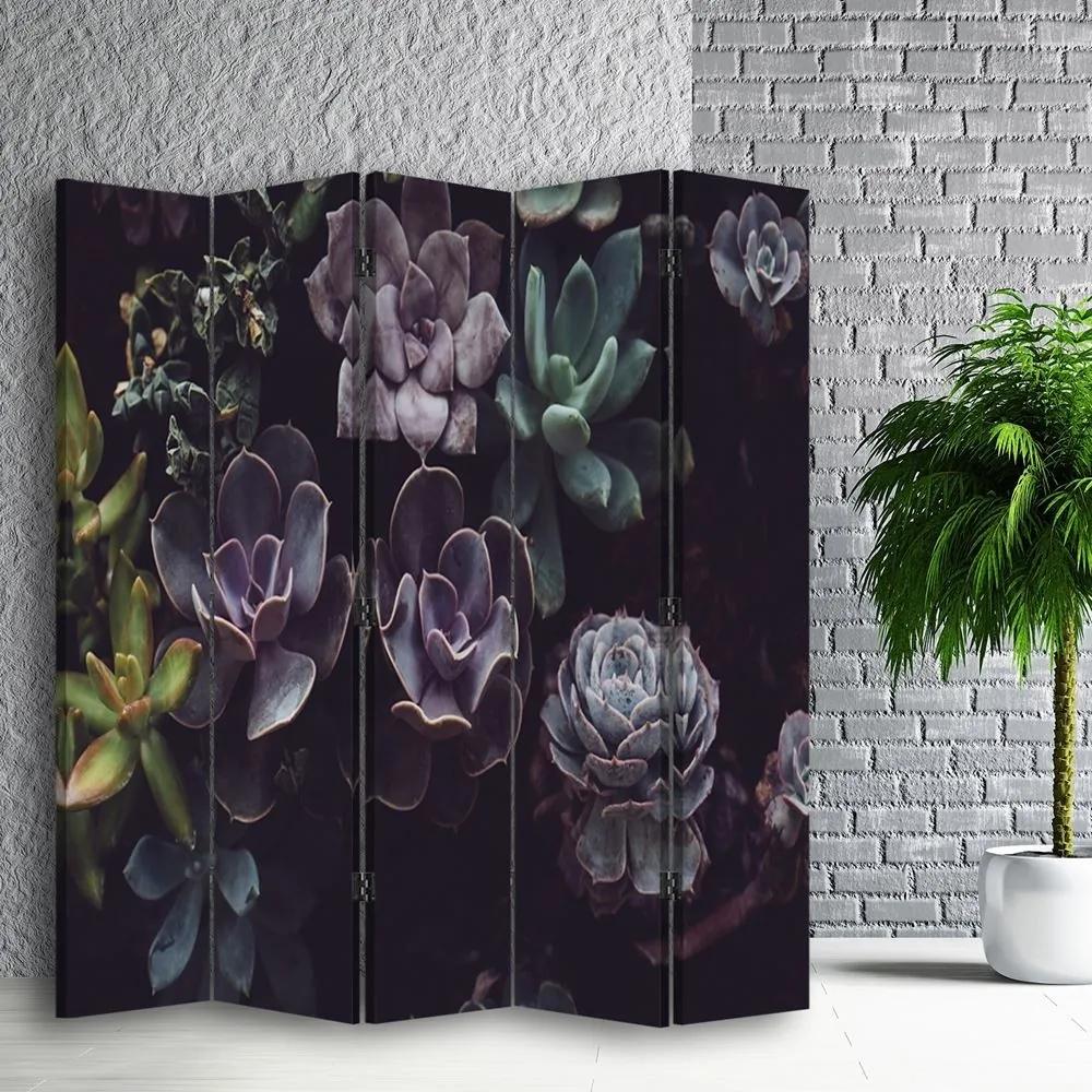 Ozdobný paraván Sukulentní květiny - 180x170 cm, päťdielny, obojstranný paraván 360°