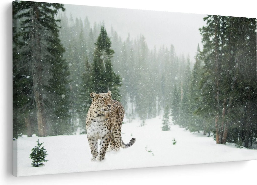 Obraz leoparda v snehu (90x60 cm)