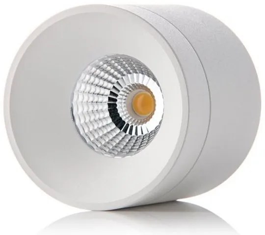 LED2 - LED Stropné svietidlo TINY LED/8W/230V biela