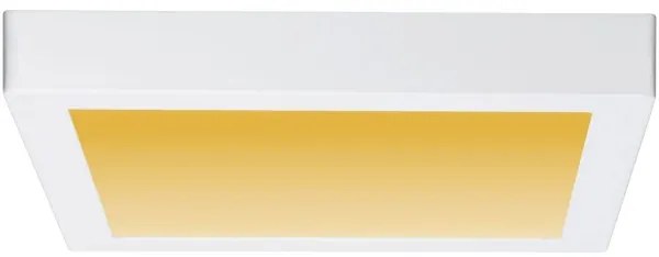 Paulmann 79801 - LED/13W Stropné svietidlo CARPO 230V 2300/2500/3000K