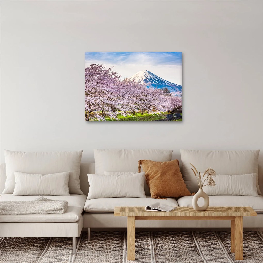 Obraz - Japonsko na jar (70x50 cm)