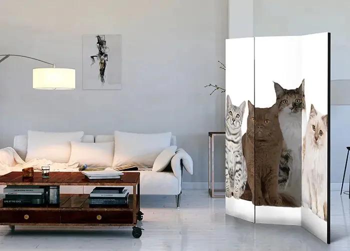 Paraván - Sweet Cats [Room Dividers] Veľkosť: 135x172, Verzia: Akustický