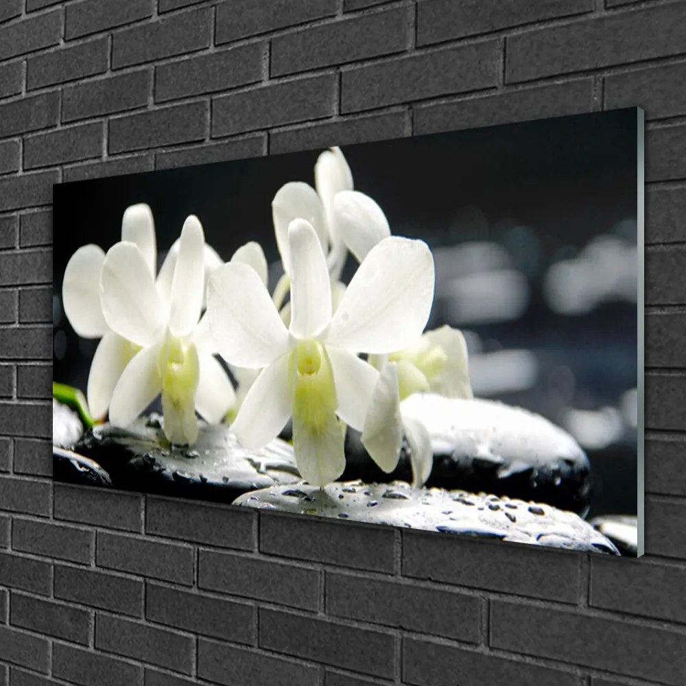 Skleneny obraz Kamene kvety orchidea 140x70 cm