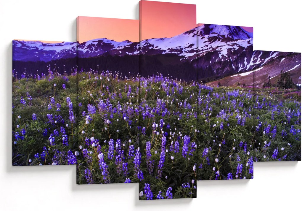Obraz - Sopka a kvety (150x105 cm)