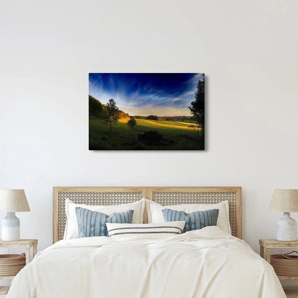 Obraz - Horská lúka (90x60 cm)