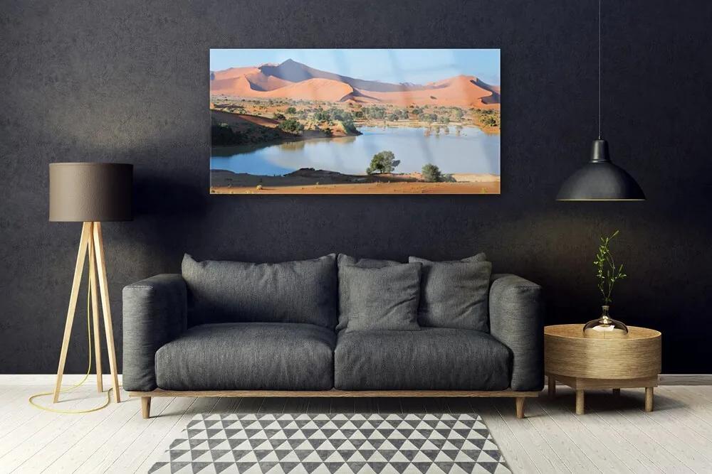 Obraz plexi Jazero púšť krajina 120x60 cm