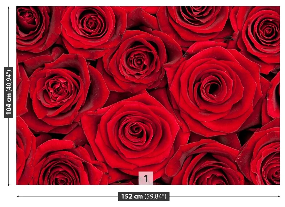 Fototapeta Vliesová Červené ruže 250x104 cm