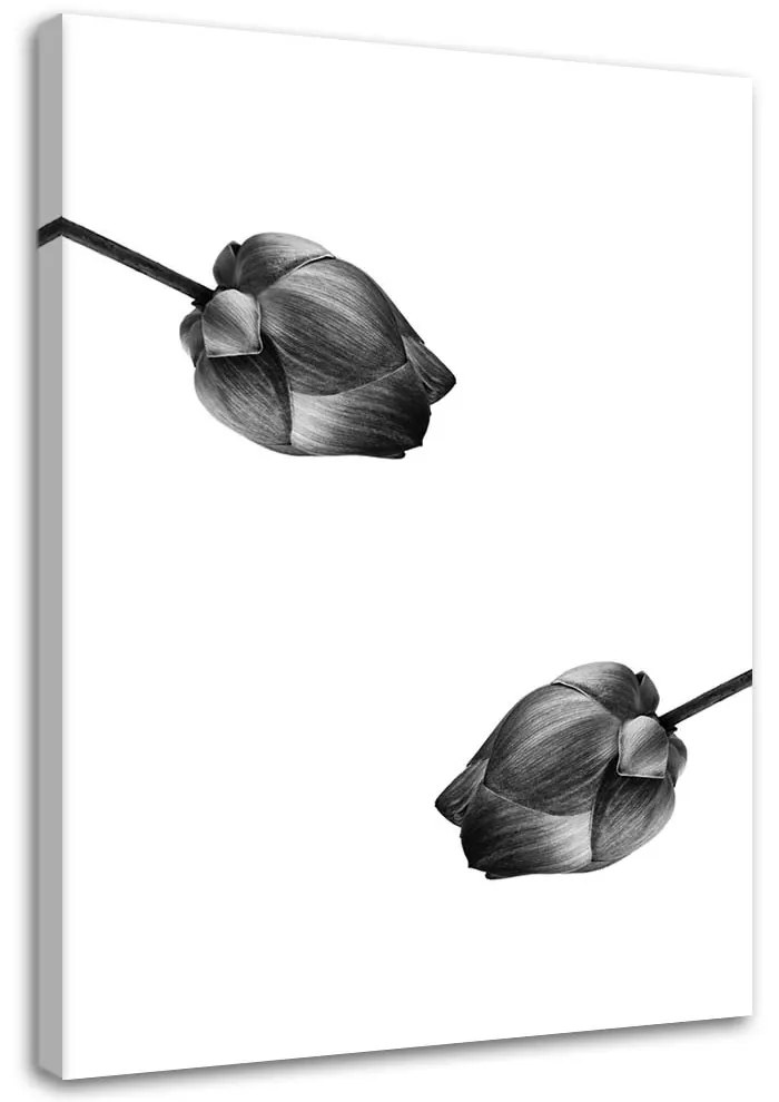 Gario Obraz na plátne Dve sivé kvety Rozmery: 40 x 60 cm